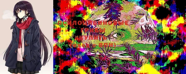 экстази Рославль