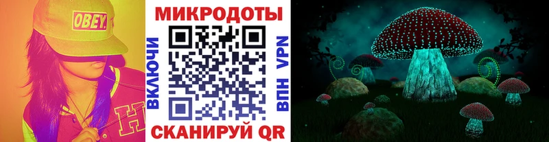 Псилоцибиновые грибы прущие грибы  Купить  Фурманов 